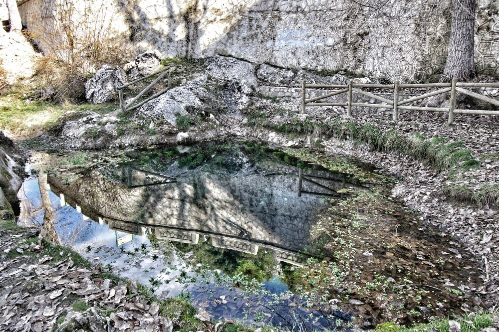 nacimiento del segura