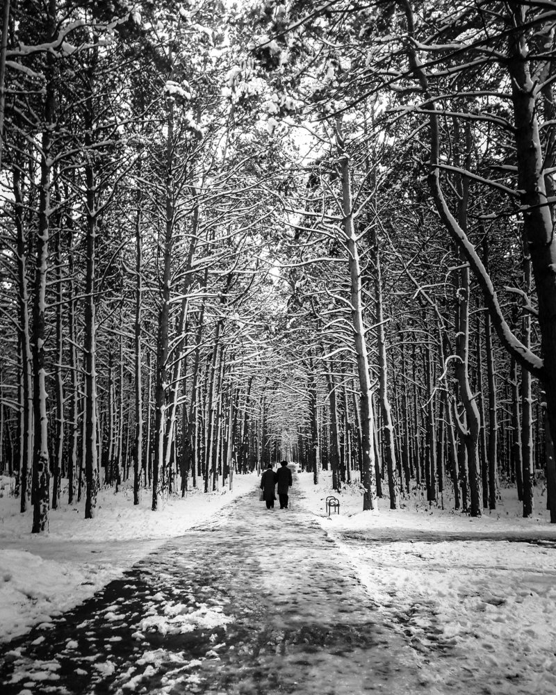 The Time and the LOVE