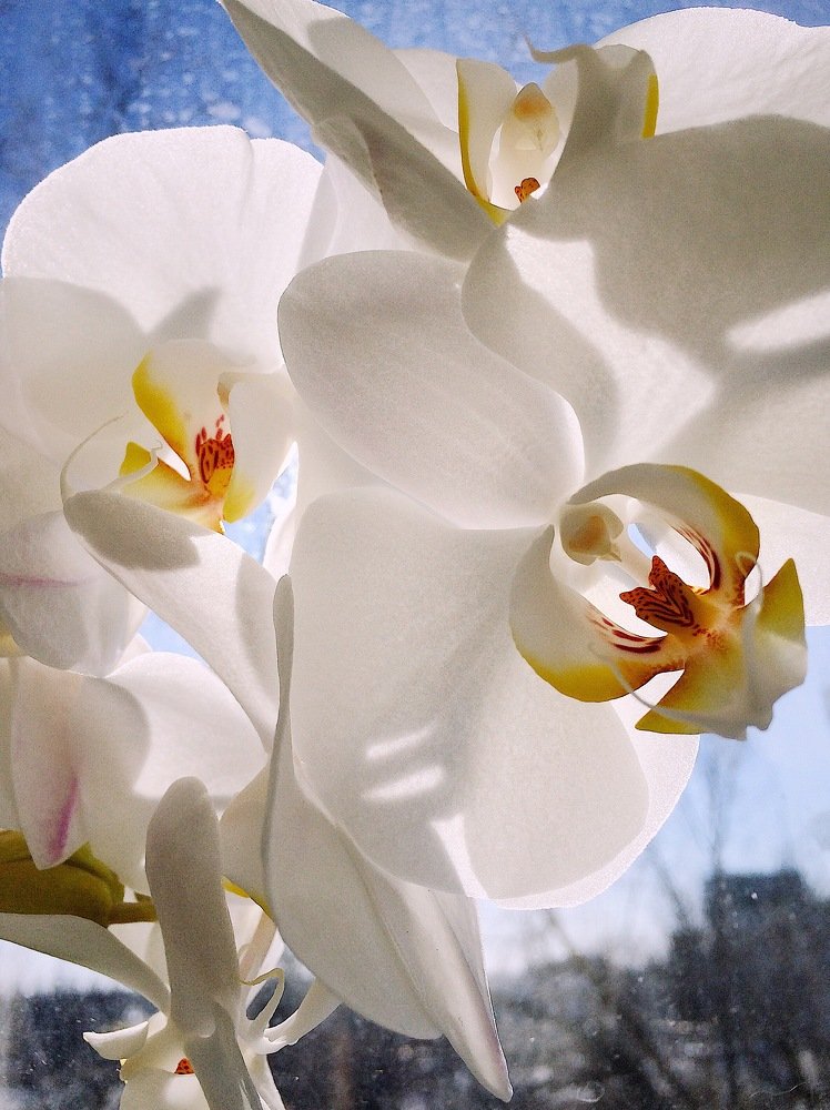 Свет внутри тебя