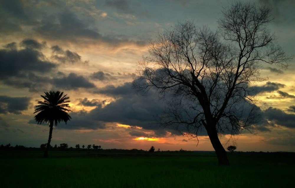 GOLDEN ENDING