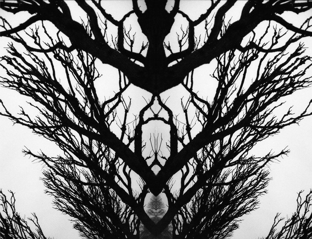 Photograph by Матвей Кармаков