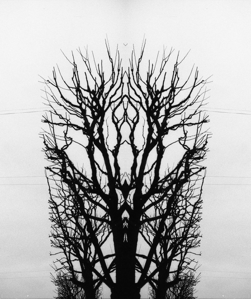 Photograph by Матвей Кармаков