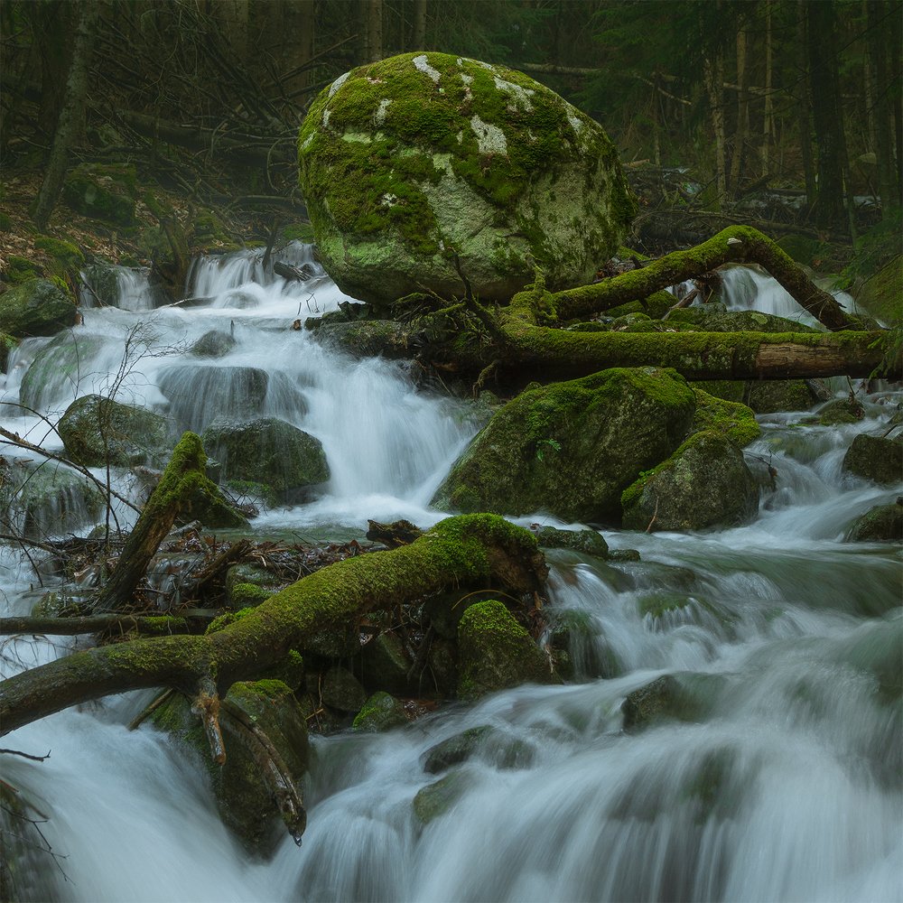 Фотография автора Руслан Комаров