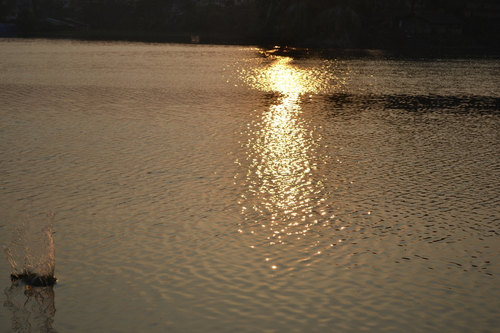 Reflection of Sunset