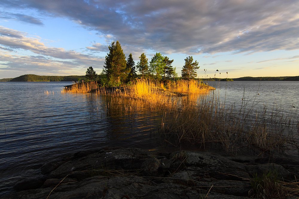 Золото Ладоги
