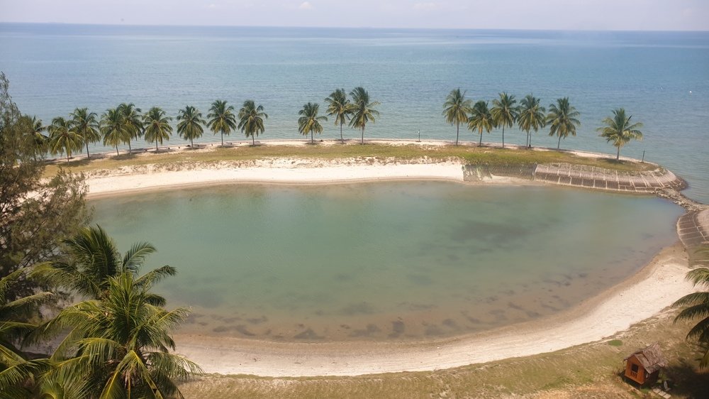 A small alcove of palm trees