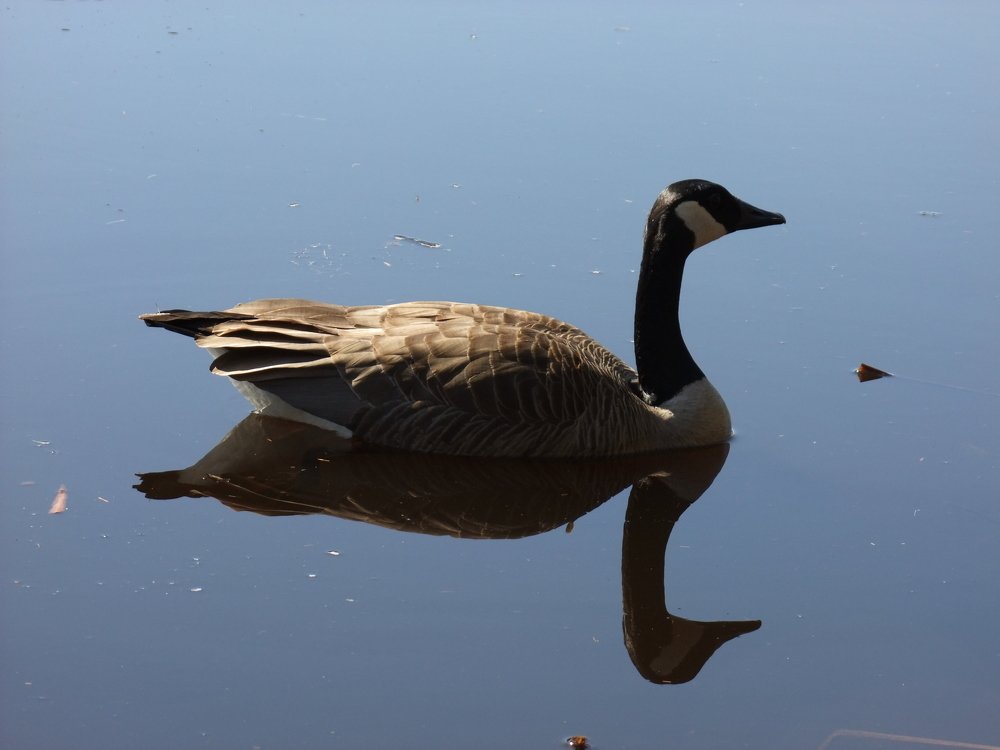 Photograph by Josée Beauchemin