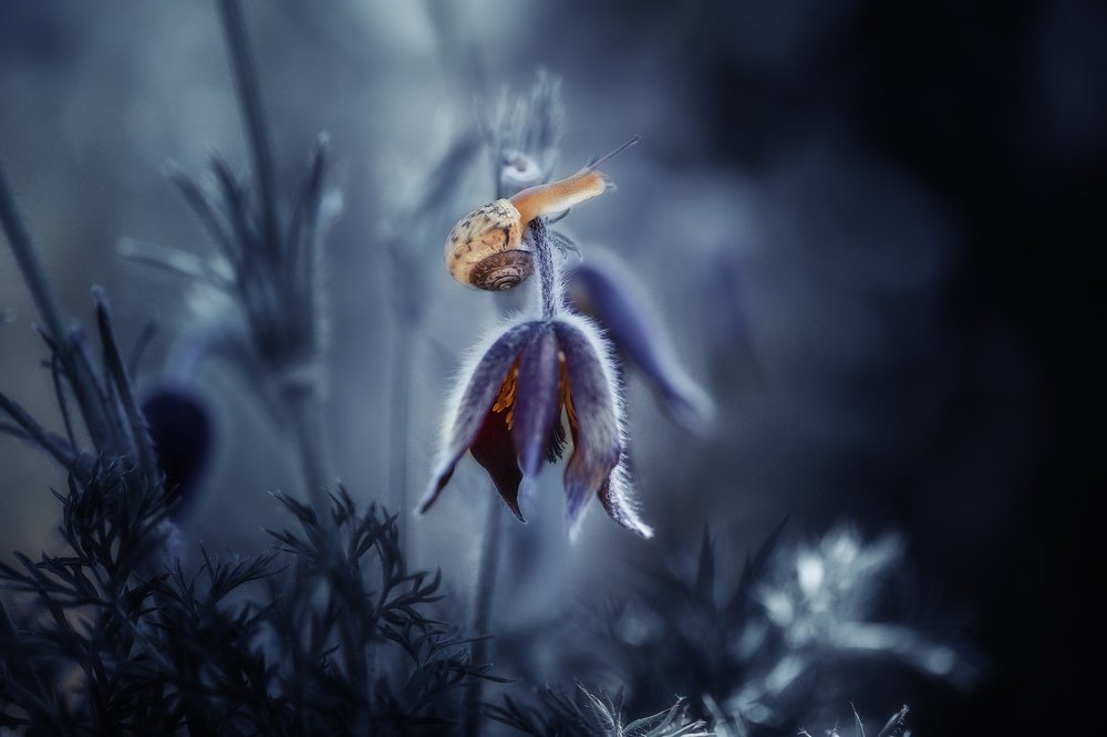 Фотография автора Dolli Pogrebnaya