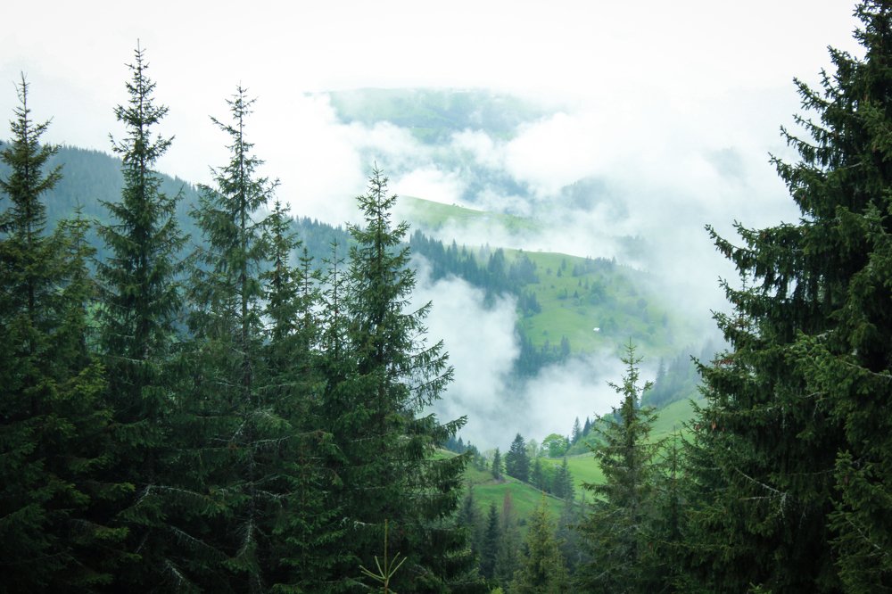 Photograph by Ольга