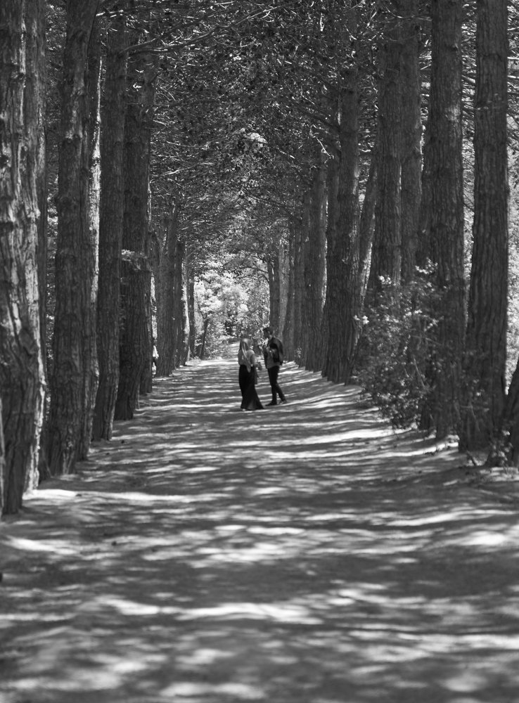 Photograph by Евгений Евдокимов