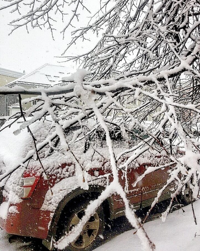 мартовский снег