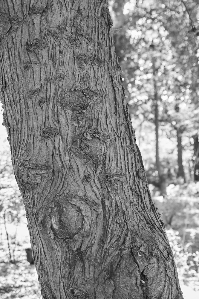 Photograph by Евгений Евдокимов