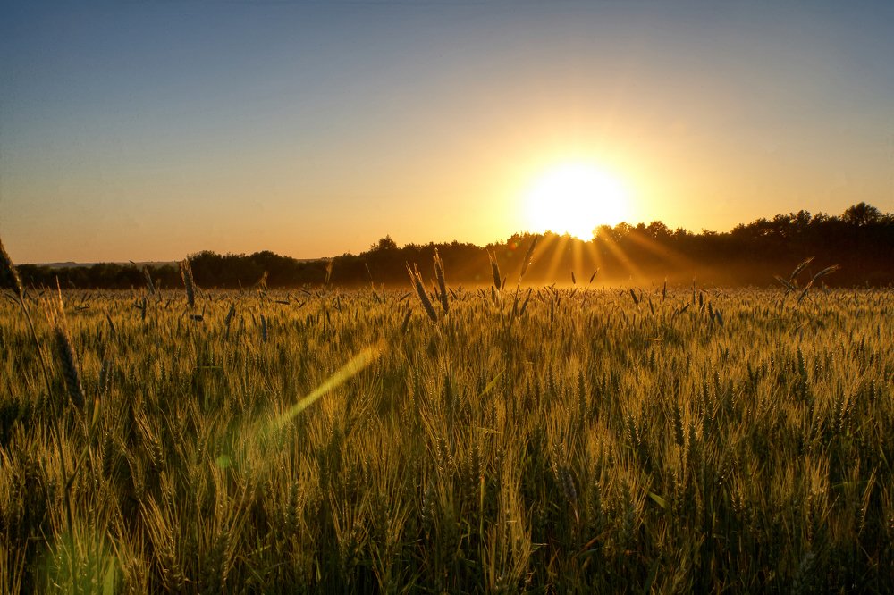 Photograph by Евгений Евдокимов