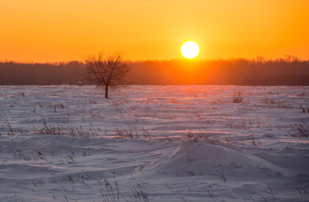 Суровая Сибирь