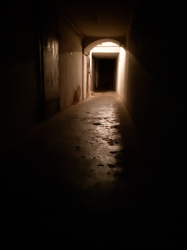 Свет в конце туннеля