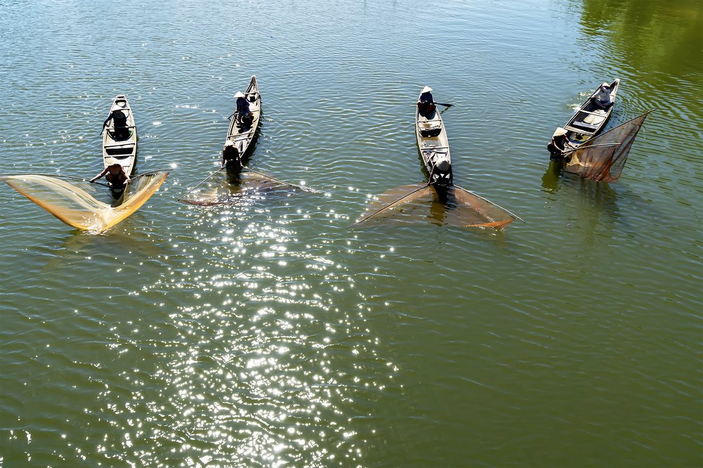 Bắt cá trên sông