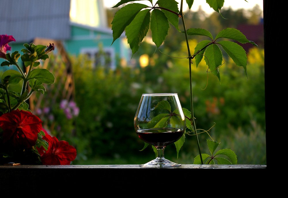 Вечер на даче