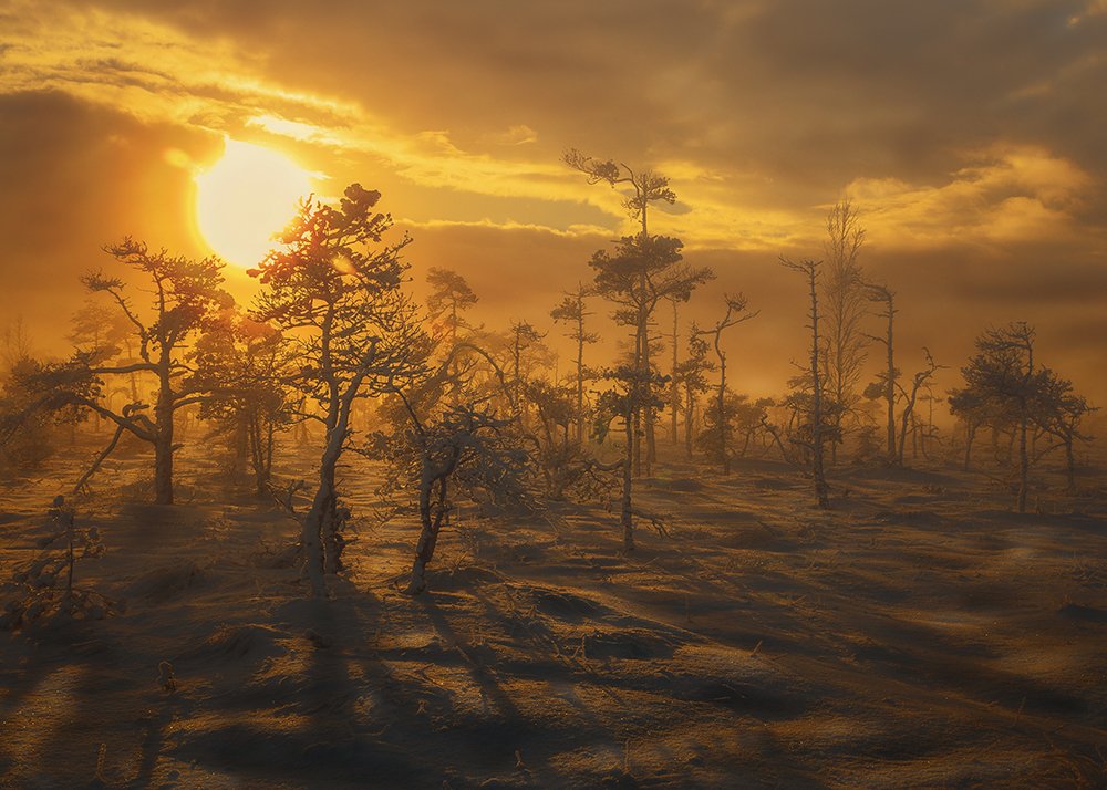 Sunset over the swamp