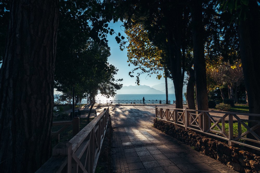 Photograph by Дмитрий