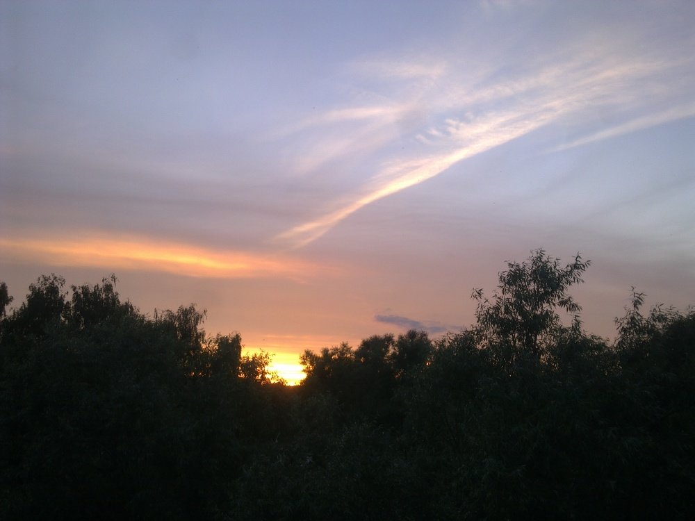 Photograph by Инна Голубева