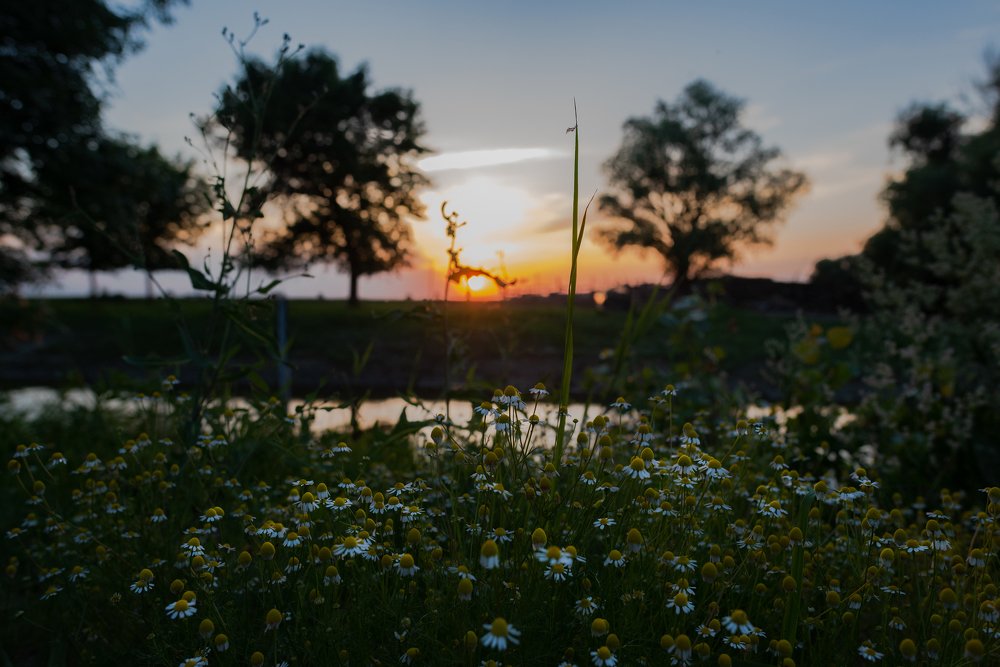 Photograph by Рустам Тулендеев