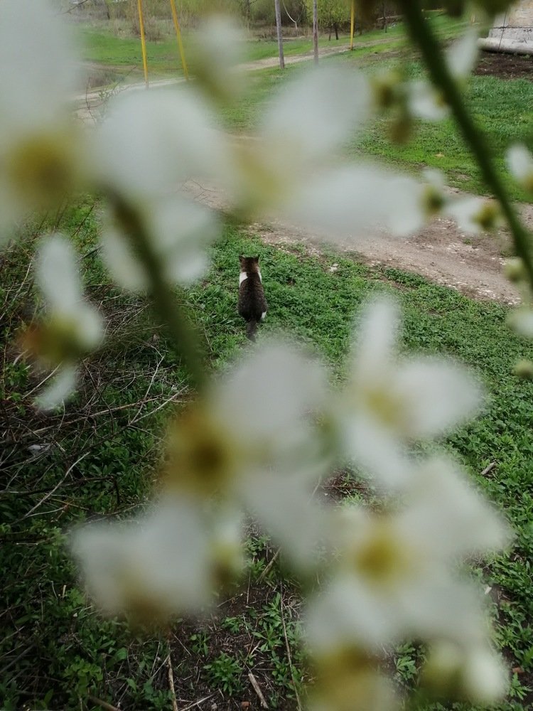 Photograph by Анастасия Чепурнова