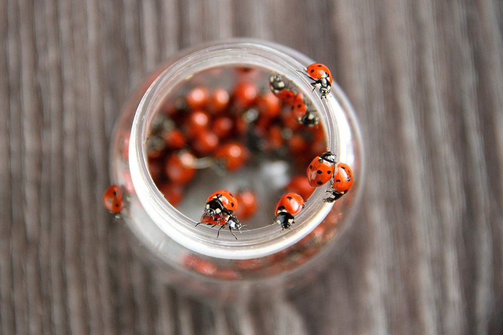 Photograph by Наталия Яковлева