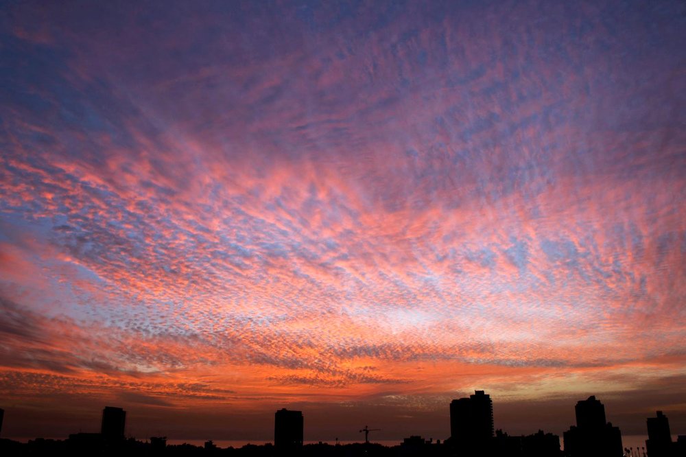 Photograph by Irina Radzinskaya