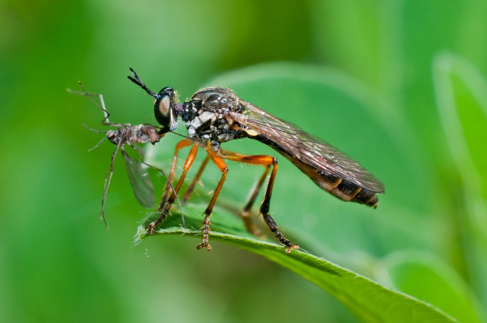 Photograph by Михаил Агульник