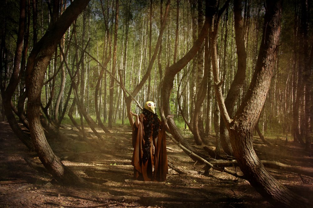 Сказки старого леса