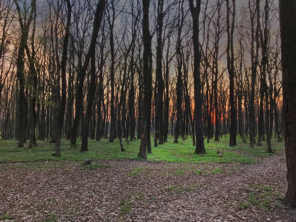 Photograph by Serhii Zaikovskyi