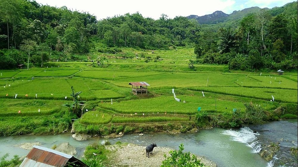 Toraja city, Indonesia