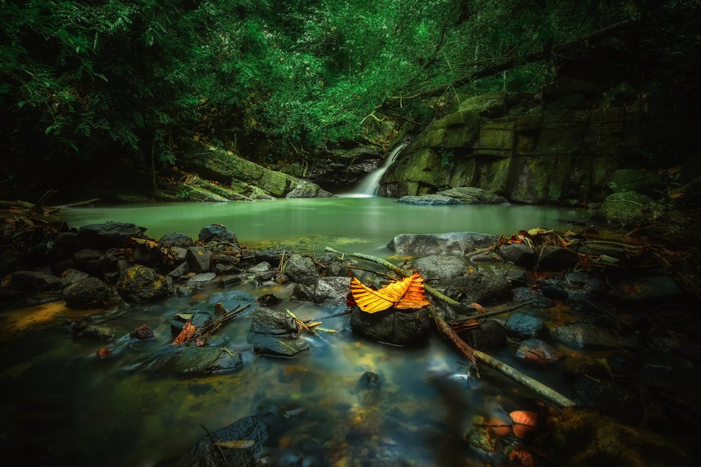 Waiting is a period of learning