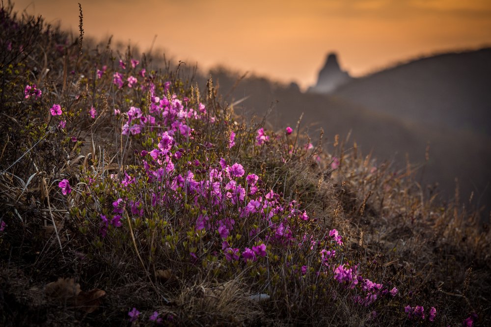 Photograph by Сигида Дмитрий