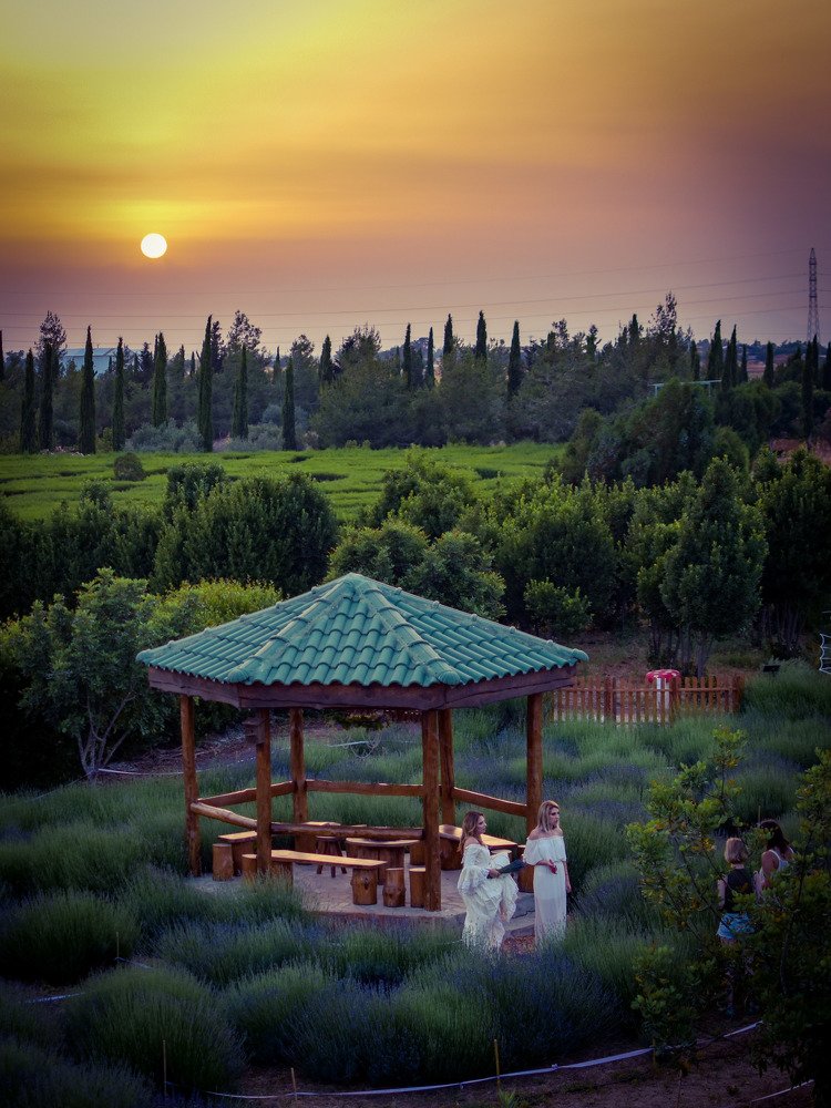 Photograph by Natalya  Kovalevskaya