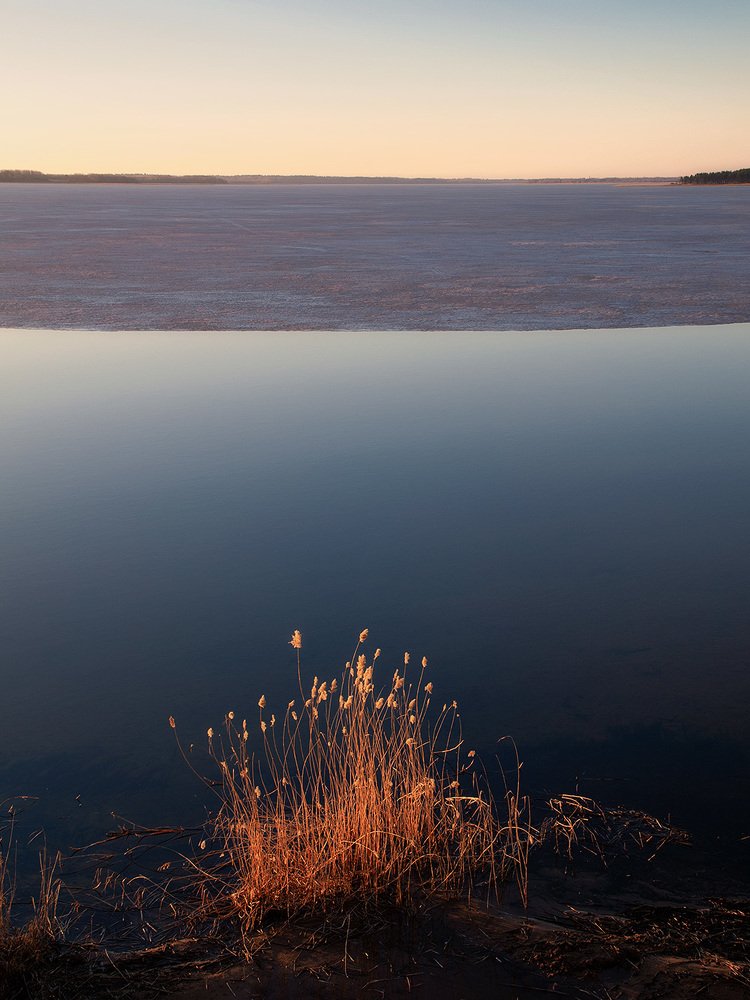 Краски рассвета