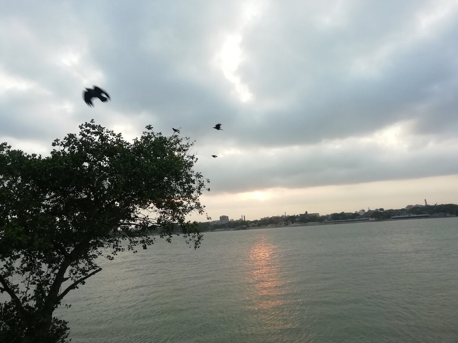 Afternoon