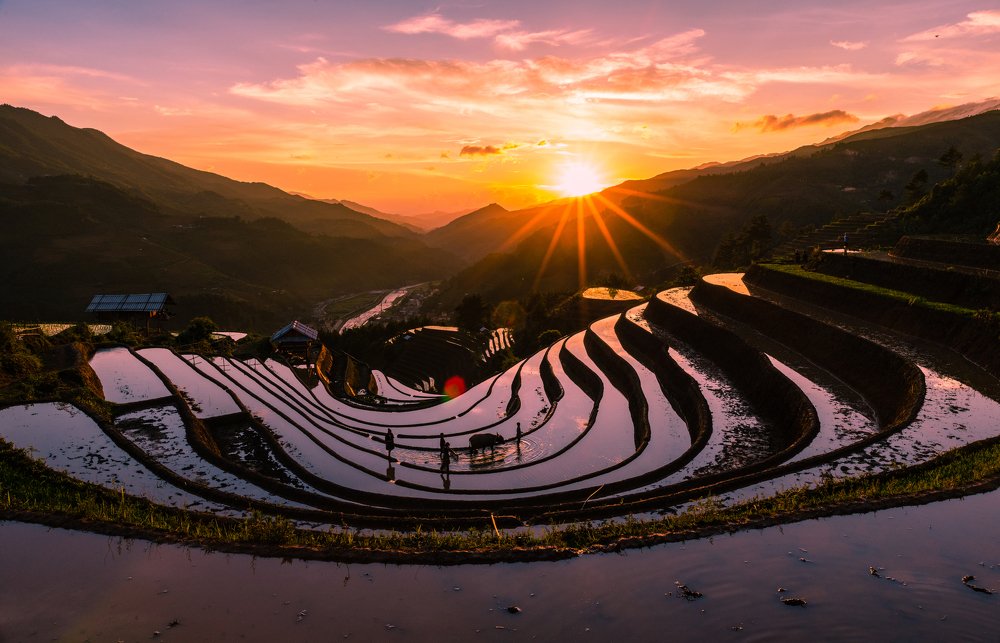 Going in the sunset.