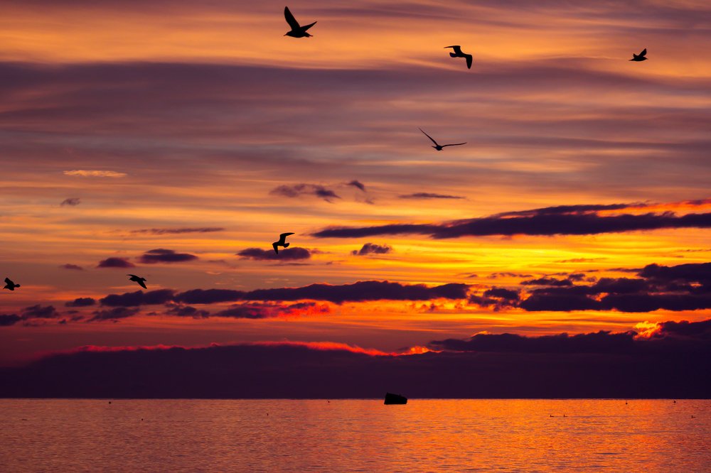 Photograph by Юлия Шумляева