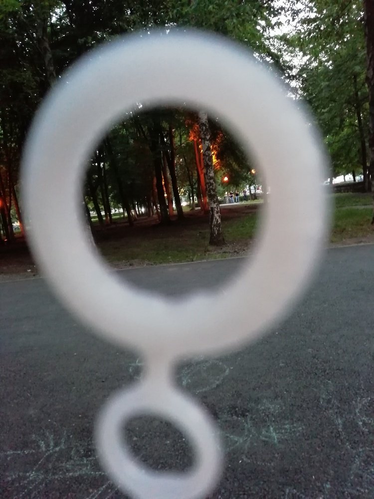 Photo #3301274