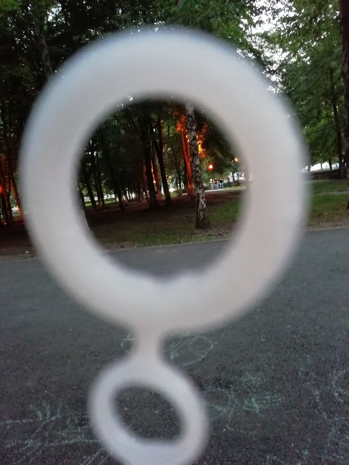 Photo #3301274