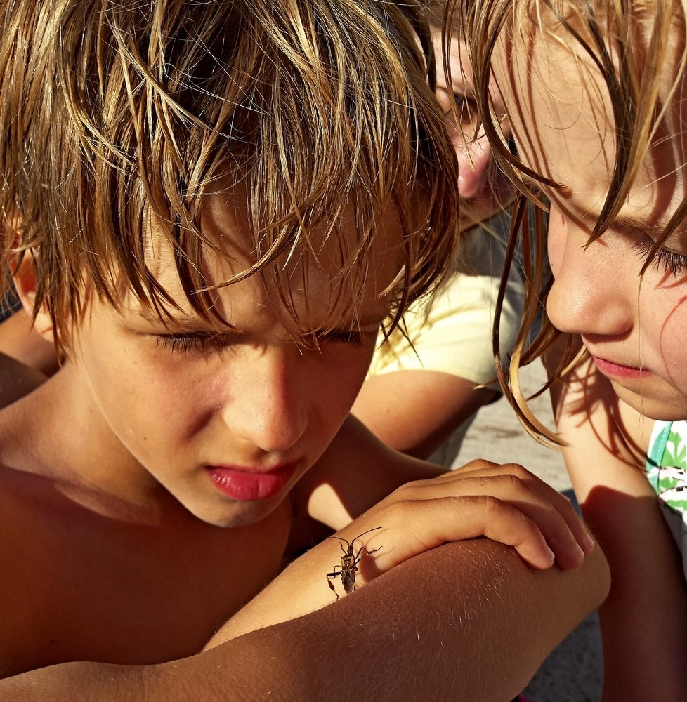 family exploring the animal planet