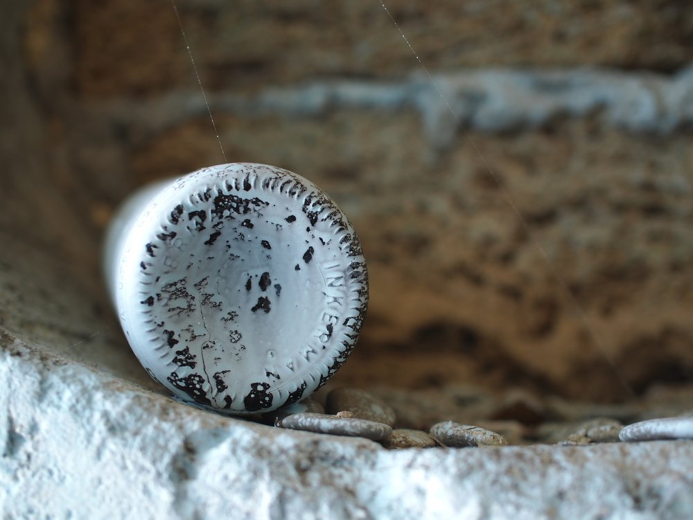 Photograph by Serge S. Pashintsev