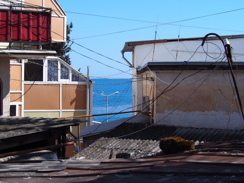 Photograph by Serge S. Pashintsev