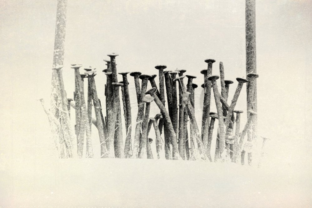 Conceptual minimalism