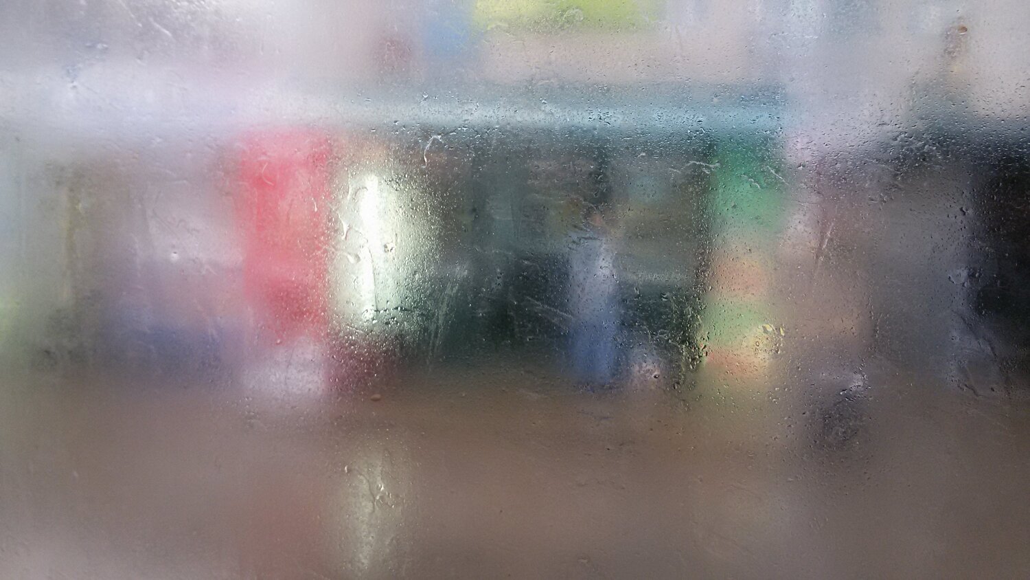 from the bus window