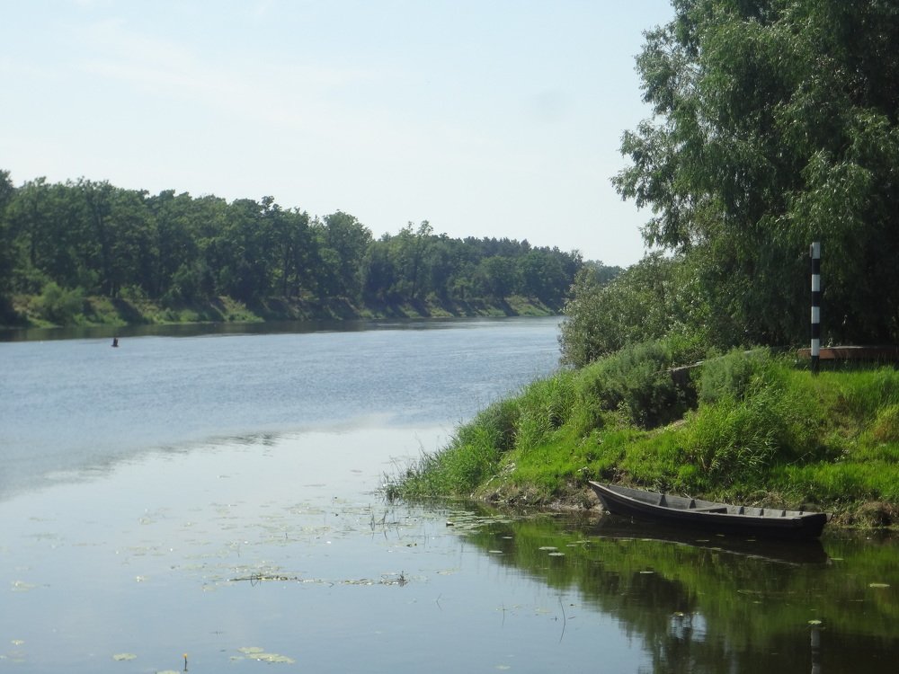 В утренних лучах
