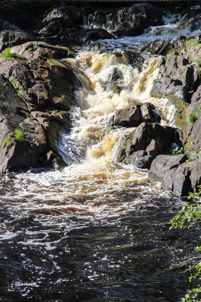 Photograph by Татьяна Шустрова