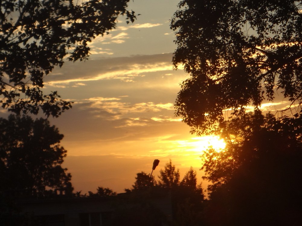 В лучах заката