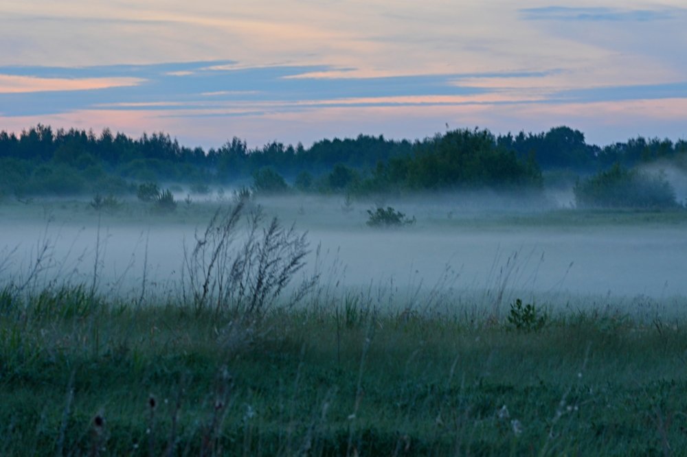 Утренний туман